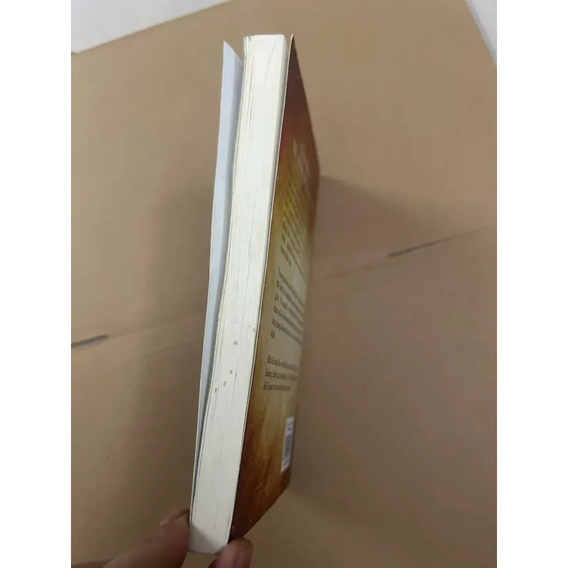 The magic phép màu 568935