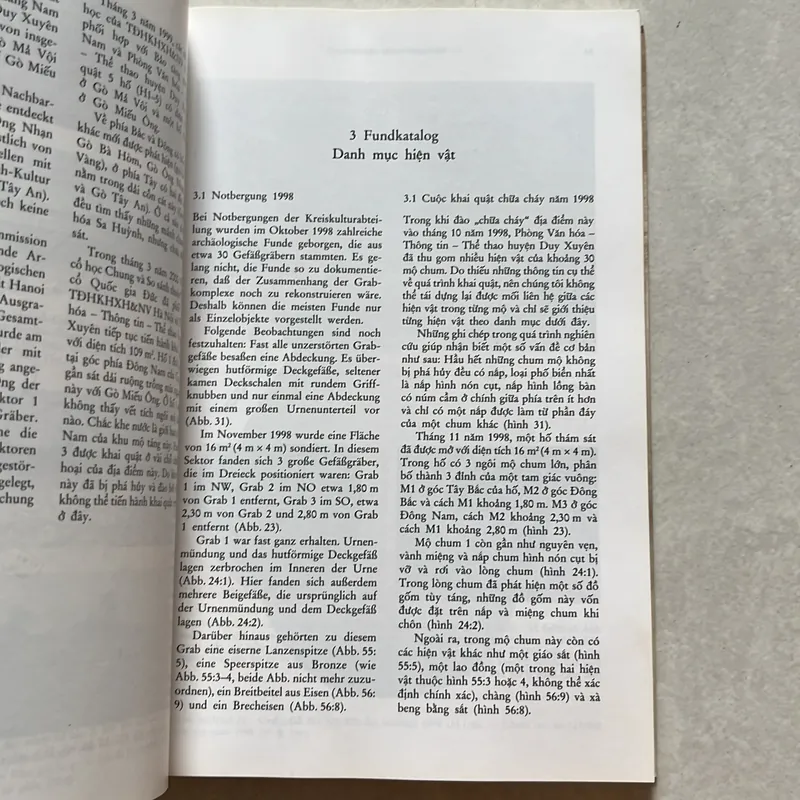 Những phát hiện mới về văn hoá Sa Huỳnh 624218