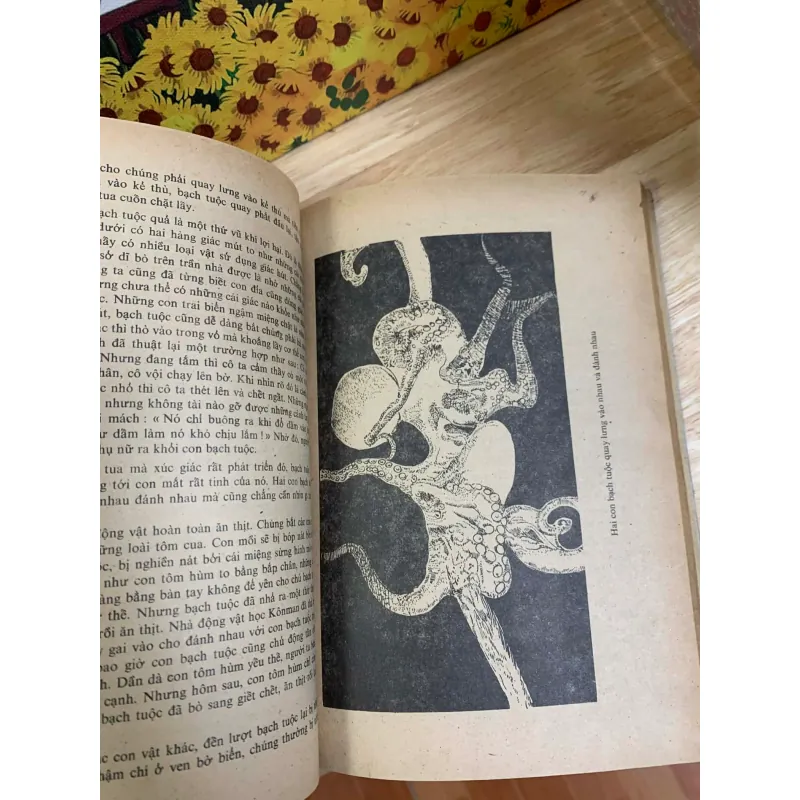 Những Kỳ Lạ Trong Thế Giới Sinh Vật 926223