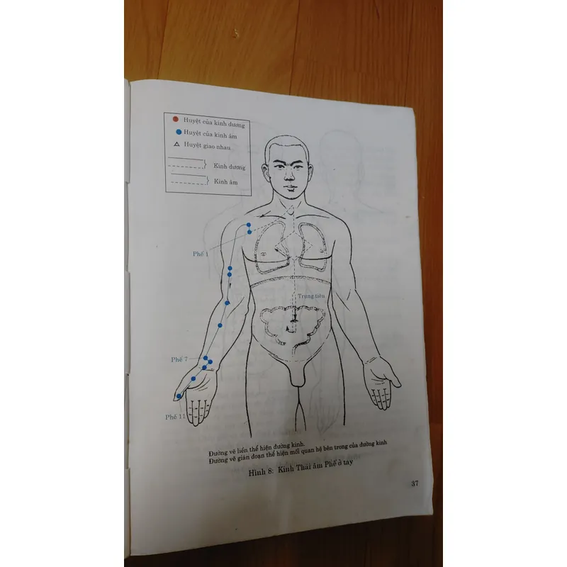 CHÂM CỨU HỌC Trung QUỐC  674270