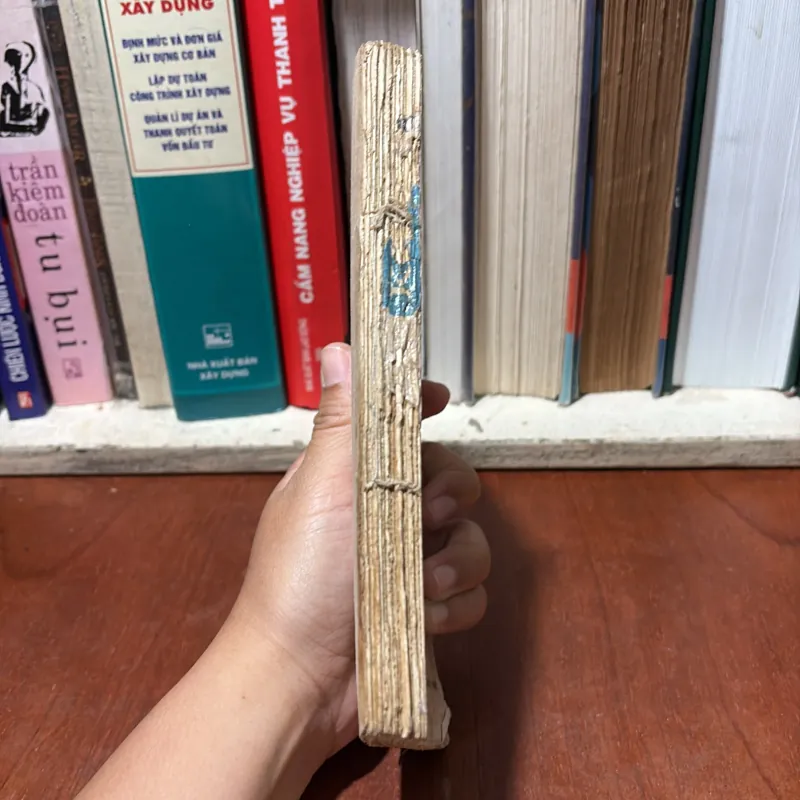 II Văn Học: Truyện Kiều - Nguyễn Du - Nguyễn Thạch Giang (Khảo Đính, Chú Giải) - 1985 751397