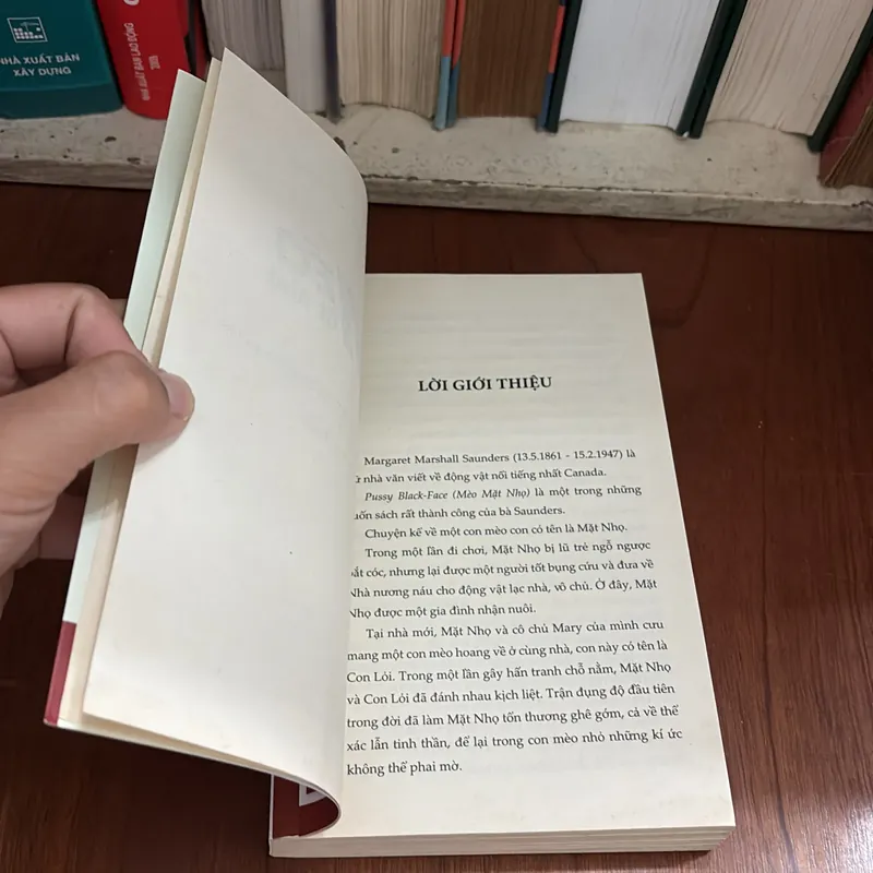 II Văn Học Thiếu Nhi: Mèo Mặt Nhọ - Margaret Marshall Saunders - ROGER VU (Dịch) - 2018 709229