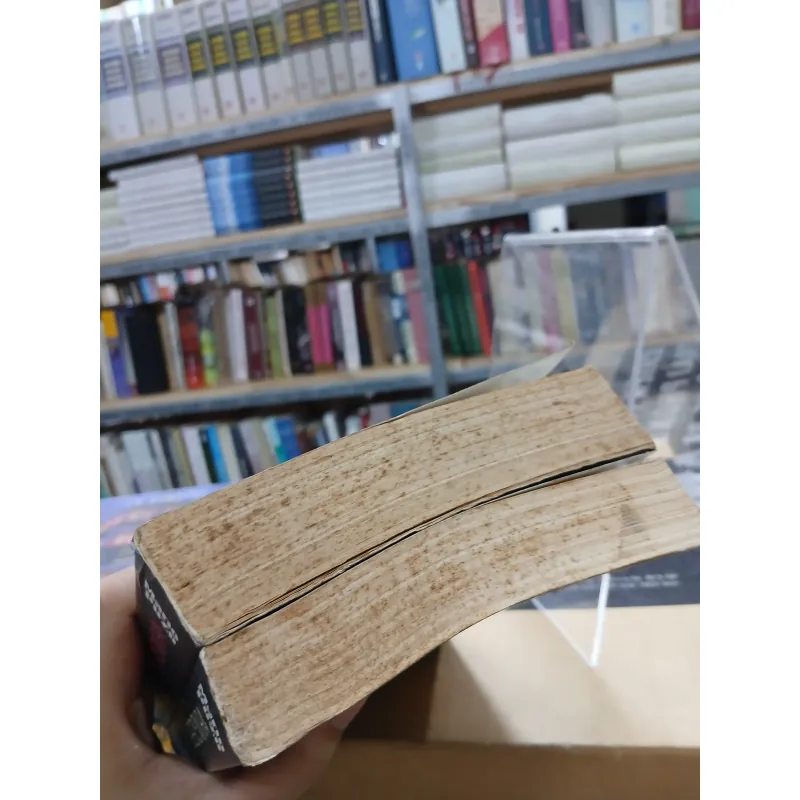 NHỮNG KẺ ĐIÊN RỒ PHẢI CHẾT (TRỌN BỘ 2 TẬP) - MARIO PUZO (PHAN QUANG ĐỊNH DỊCH) 1037835