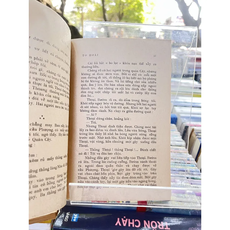 QUÊ NGƯỜI- TÔ HOÀI 713190