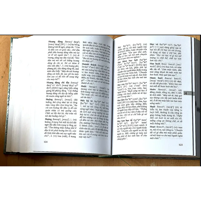 TỪ ĐIỂN TỪ NGỮ NAM BỘ 1000299