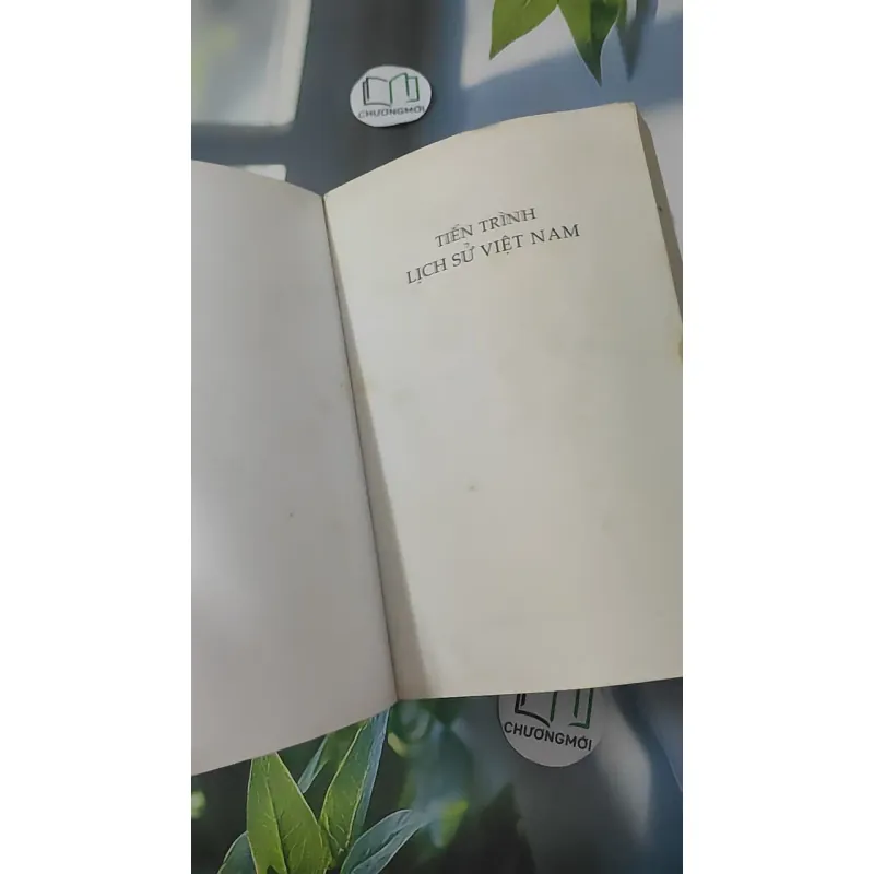 Tiến Trình Lịch Sử Việt Nam - Nguyễn Quang Ngọc 1018964