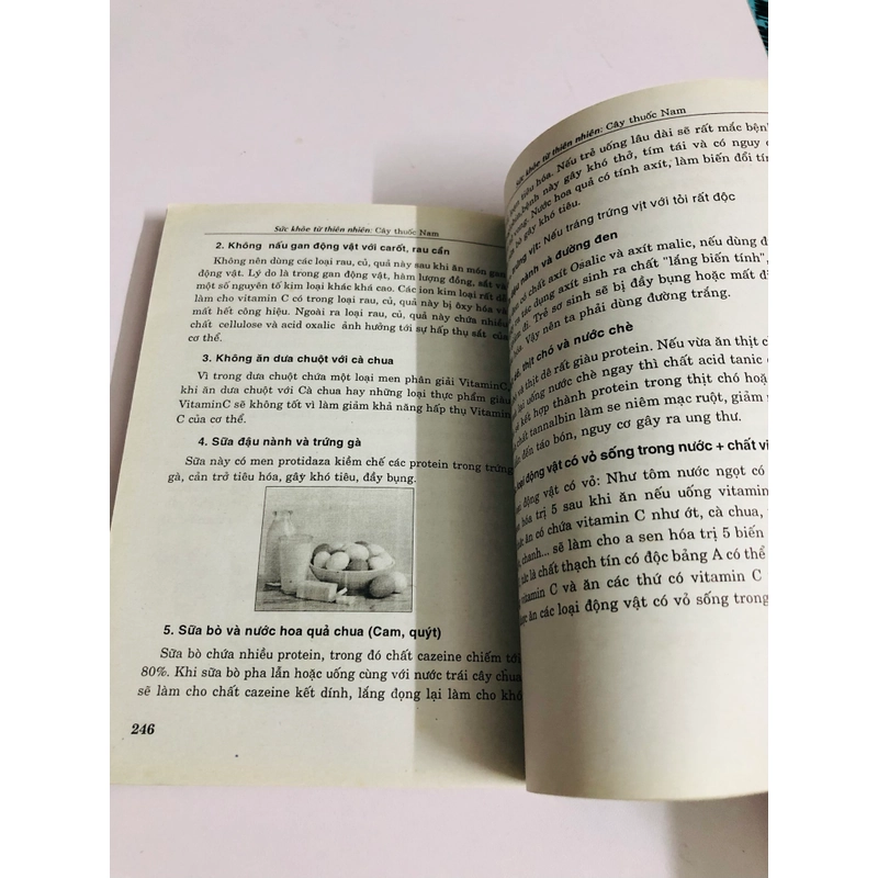 SỨC KHỎE TỪ THIÊN NHIÊN CÂY THUỐC NAM GIA TRUYỀN 544962