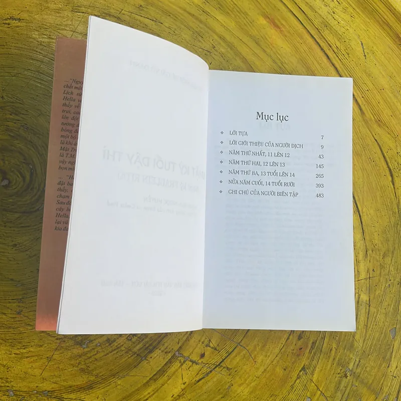 NHẬT KÝ TUỔI DẬY THÌ 695168