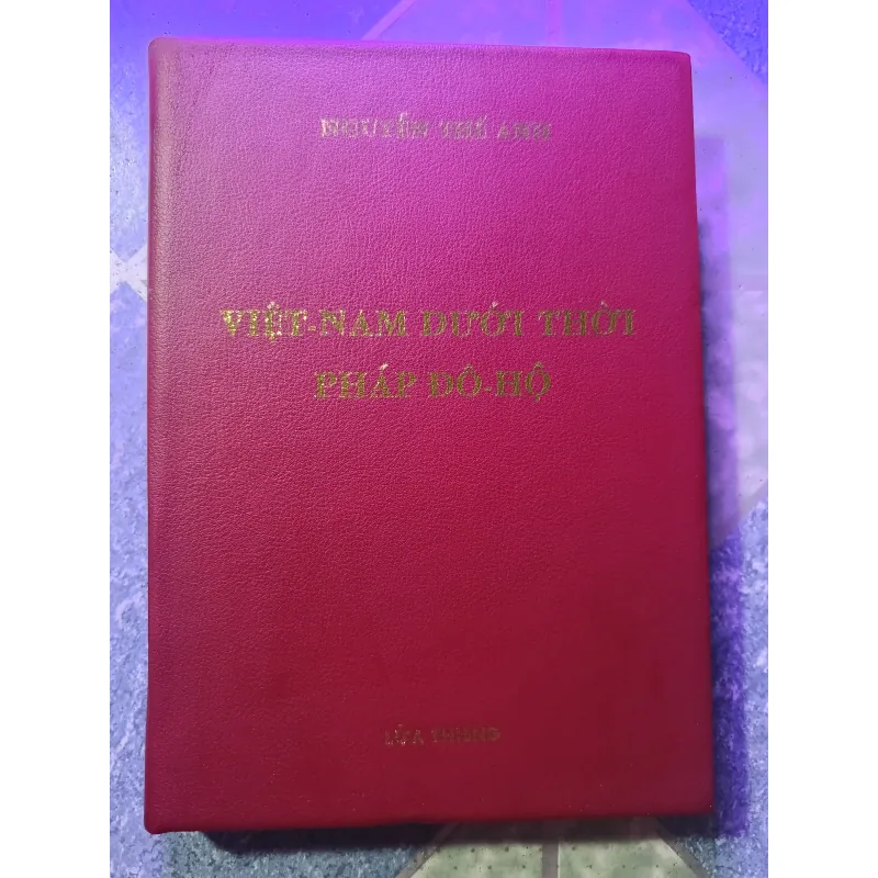 Việt Nam dưới thời Pháp đô hộ - Nguyễn Thế Anh 1046660