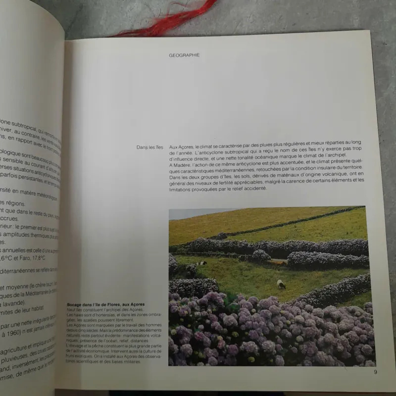 LE PORTUGAL - ALBERT D'HAENENS 1021787