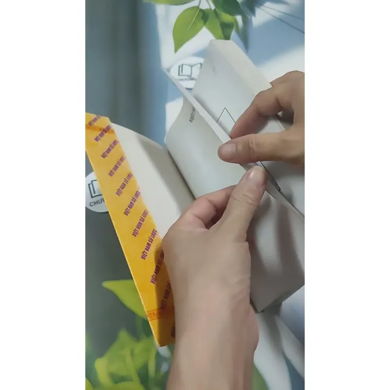 Việt Nam Sử Lược 715609