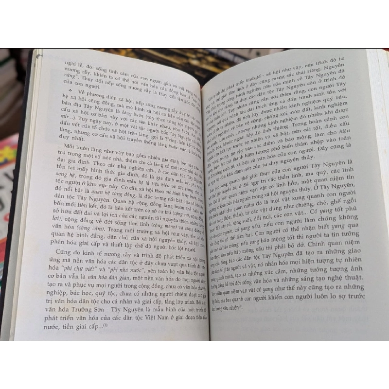 Những mảng màu văn hoá Tây Nguyên - Ngô Đức Thịnh 122869