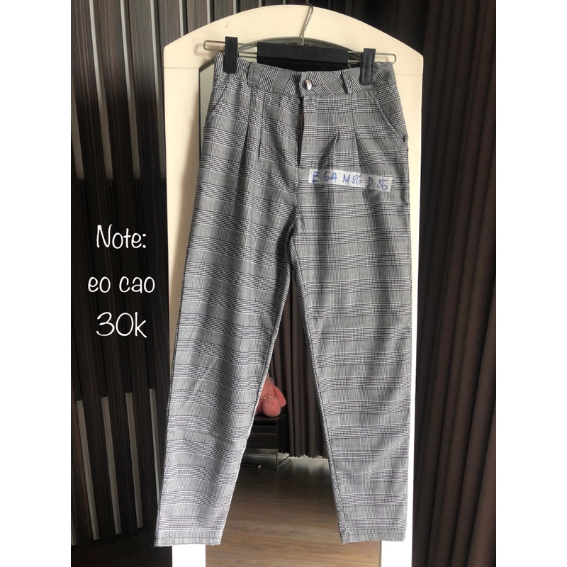 Quần baggy caro size S 493278