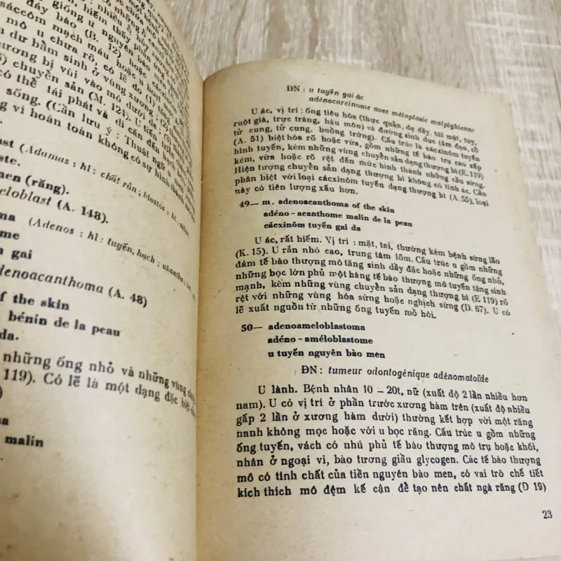 TỪ ĐIỂN BỆNH HỌC  934647