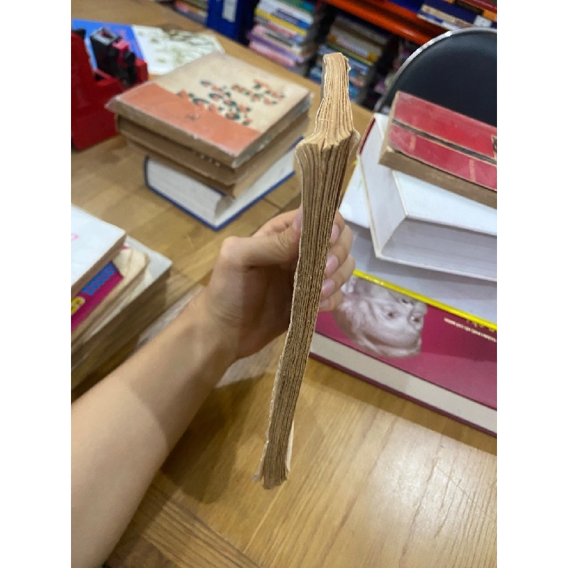 Những thiên thần ra trận - Lê Phương 546762