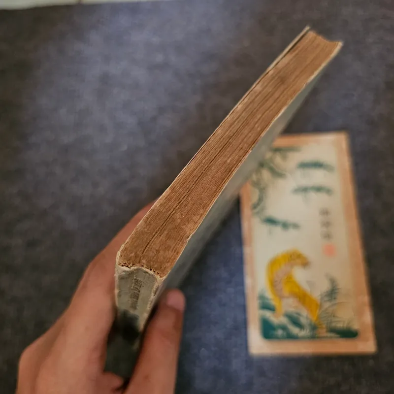 Chinh phục hạnh phúc - Bertrand Russell 735693