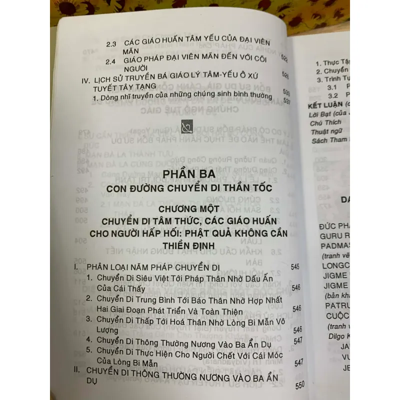 Lời Vàng Của Thầy Tôi - Patrul Rinpoche 926213