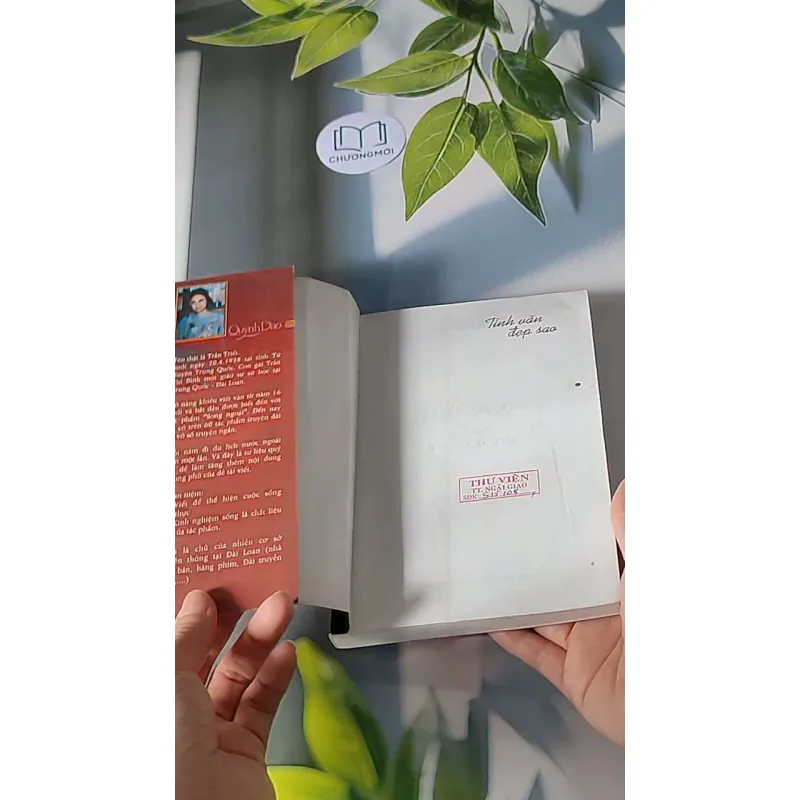 Tình vẫn đẹp sao - Quỳnh Dao 607697