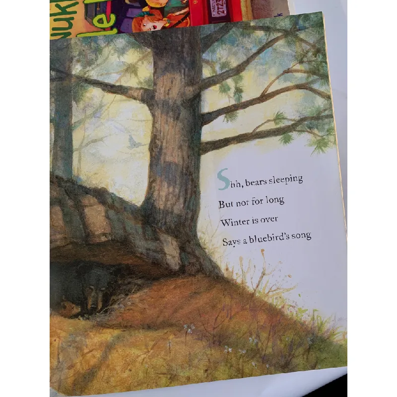 Shh! Bears Sleeping – David Martin 561133