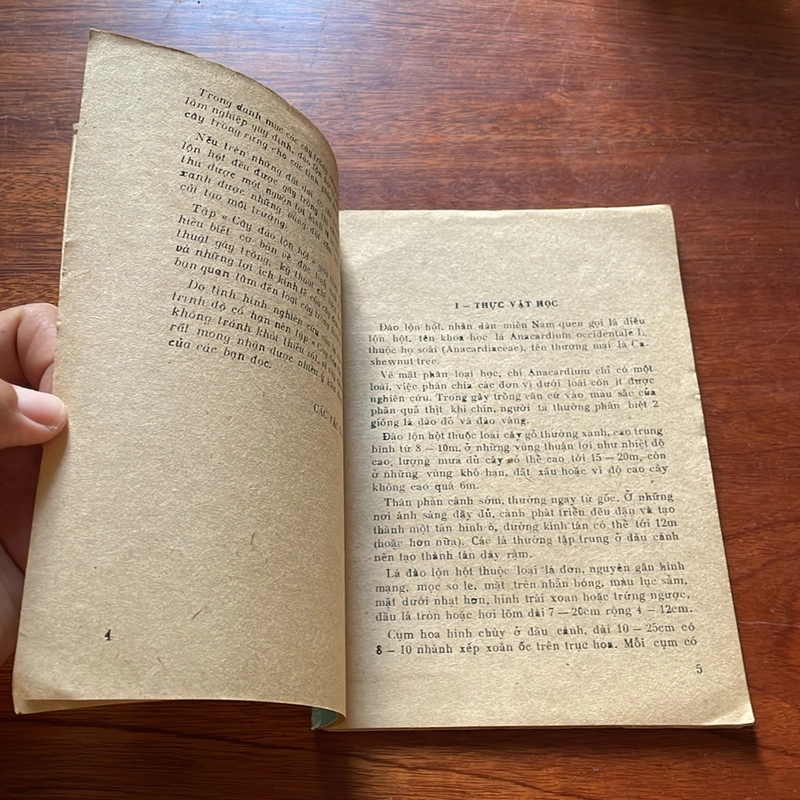 II Sách Xưa: Cây Đào Lộn Hột (Cây Điều) - Phạm Đình Thanh, Nguyễn Bội Quỳnh - 1983 504414
