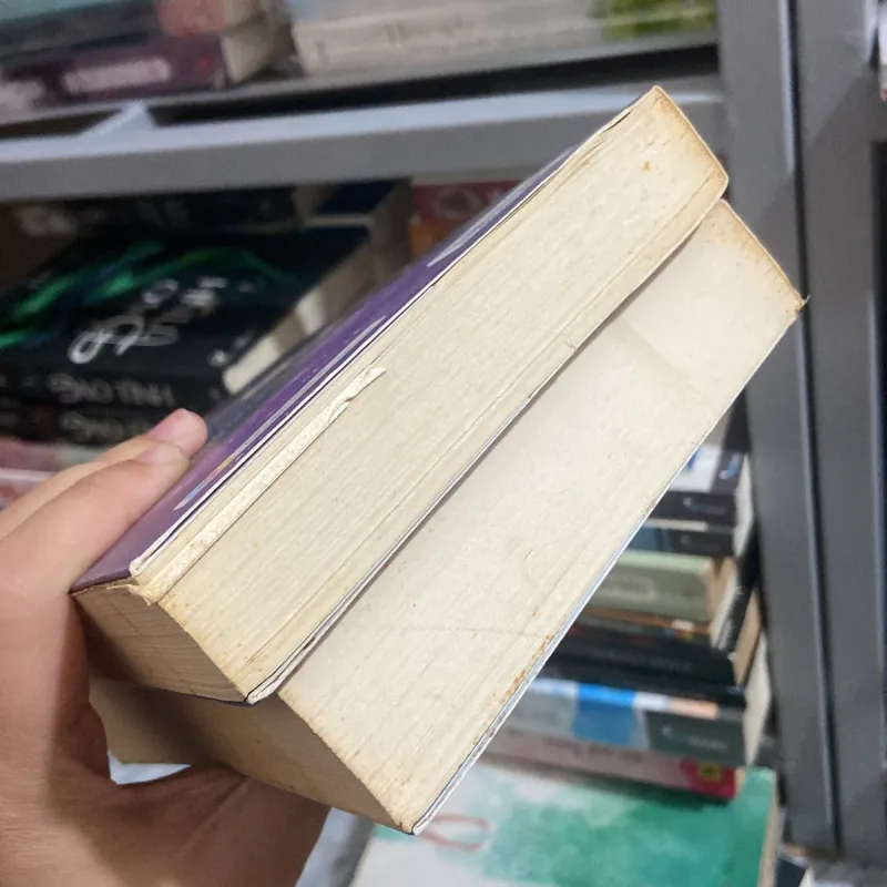 Thiên thần sa ngã - Chi Chan 961659