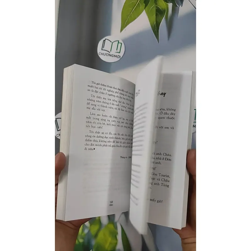 Hương xuân ngọt ngào - Hàng Châu 798388