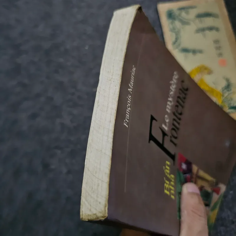 Bí ẩn nhà Frontenac - Francois Mauriac - Nobel văn chương 1952 733927