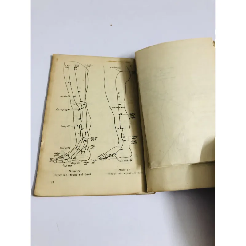 BẤM HUYỆT CHỮA BỆNH ( kèm sơ đồ các công thức huyệt điều trị ) 780380