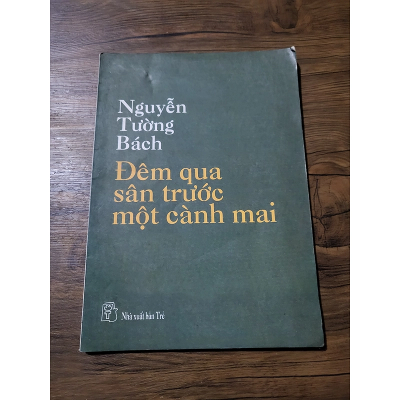 Nguyễn Tường Bách _ đêm qua trước sân một nhành mai 378005