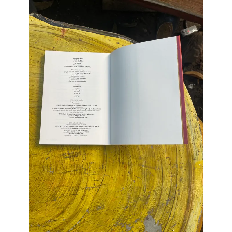 COMBO CÓ 500 NĂM NHƯ THẾ & CÁ TÍNH QUẢNG 728571