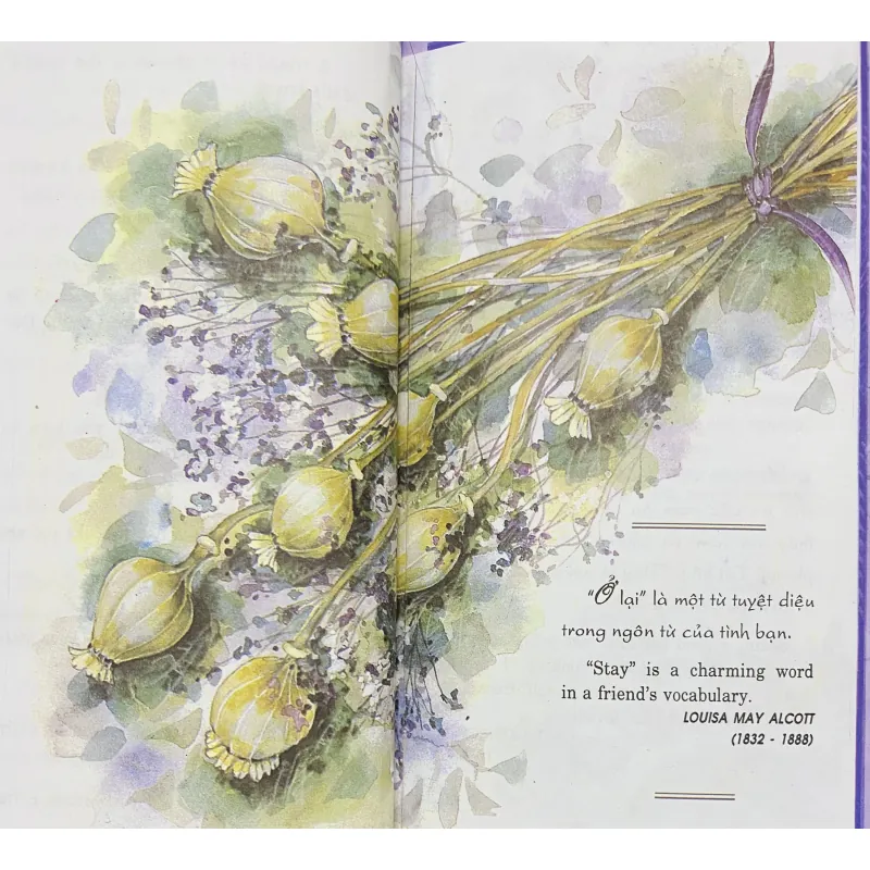 Friendship - Tình Bạn 1027458