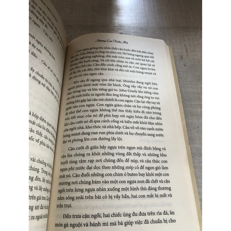 Những con tuấn mã 784358