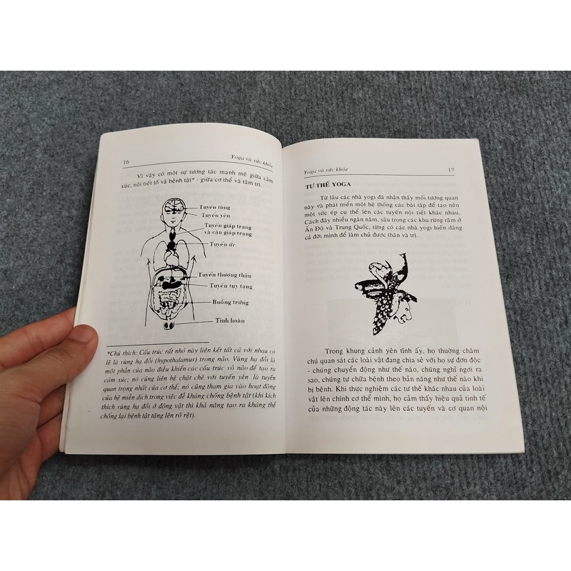 YOGA SỨC KHỎE VÀ HẠNH PHÚC 494517