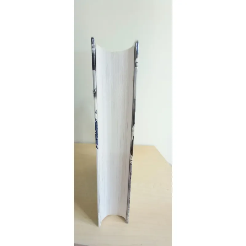 MINH HỌA THẾ KỶ 20 - Lịch sử văn minh nhân loại 1900-2000 998149