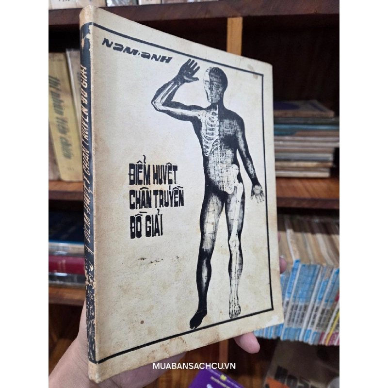 ĐIỂM HUYỆT CHÂN TRUYỀN ĐỒ GIẢI - NAM ANH 165510