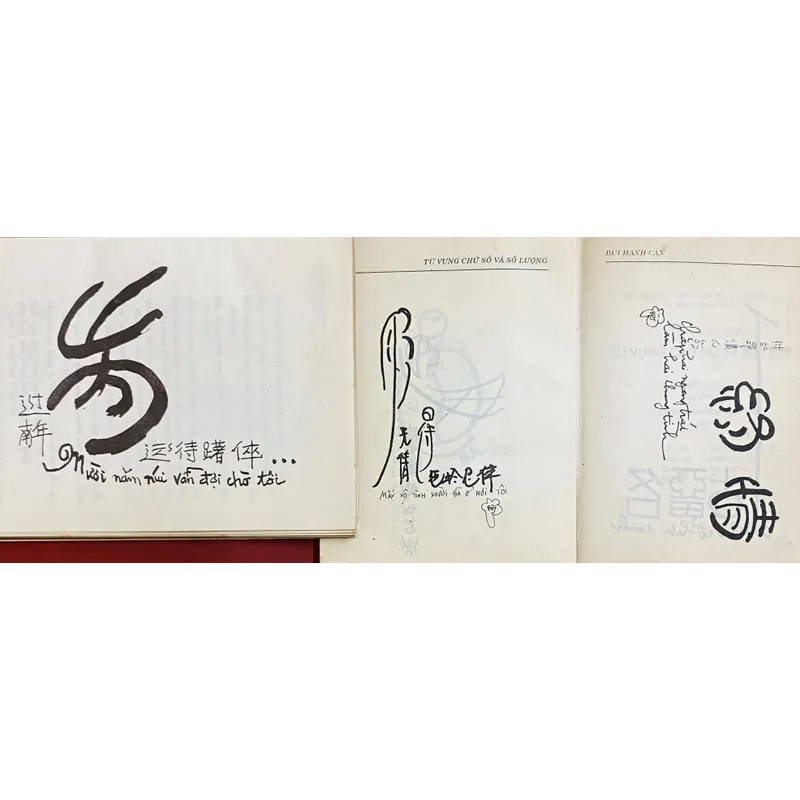 Từ Vựng - Chữ Số - Số Lượng - Bùi Hạnh Cẩn 603364