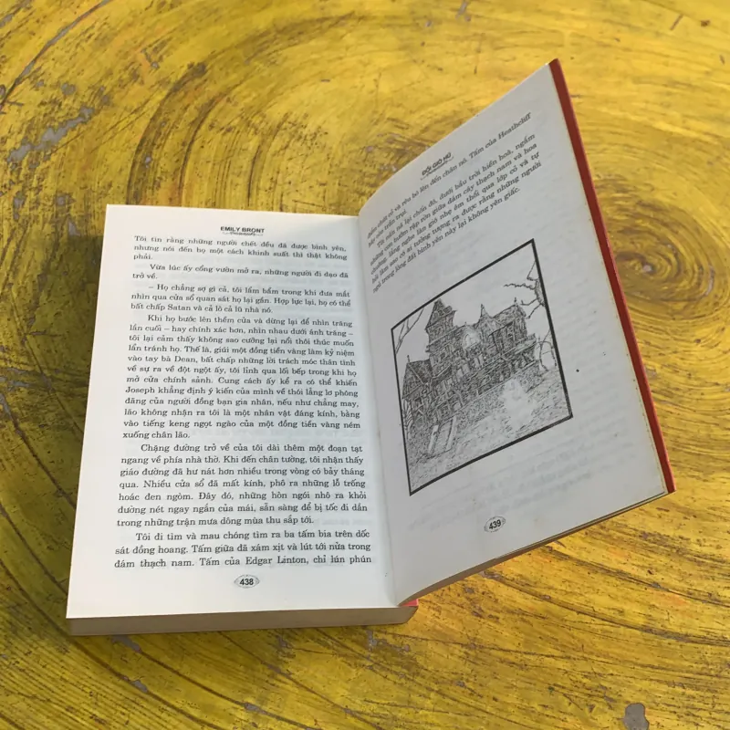 ĐỒI GIÓ HÚ- EMILY BRONTE  783356