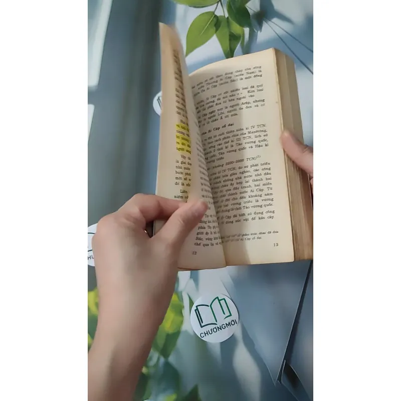 Lịch Sử Văn Minh Thế Giới - Vũ Dương Ninh 970246