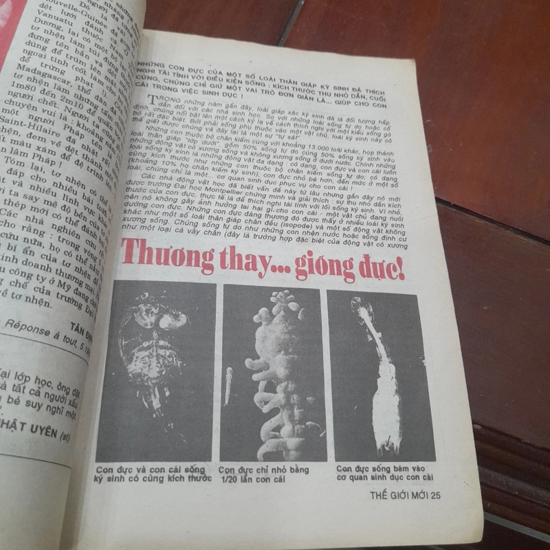 THẾ GIỚI MỚI số 64 năm 1993 447208