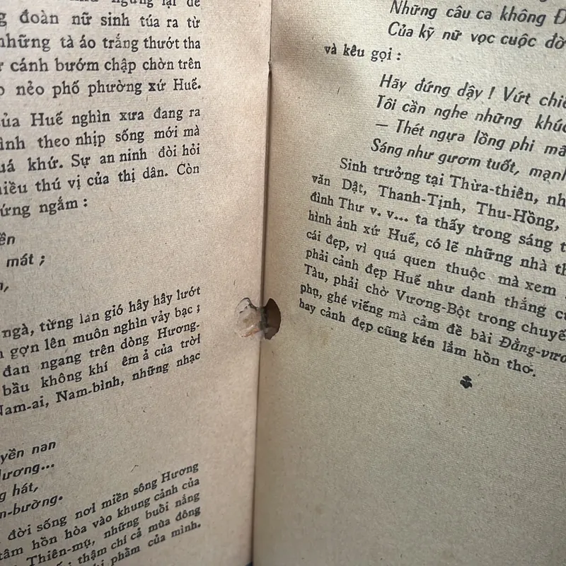 VIỆT NAM THI NHÂN TIỀN CHIẾN & KHUYNH HƯỚNG THI CA TIỀN CHIẾN - NGUYỄN TẤN LONG 717060