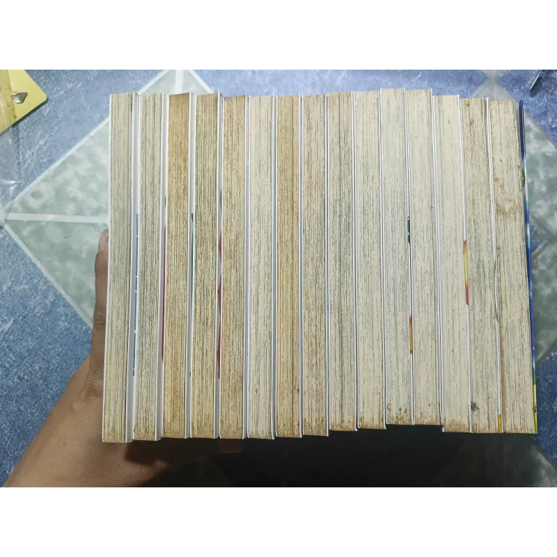 Cuộc phiêu lưu của Croket ( 15 tập) 976074