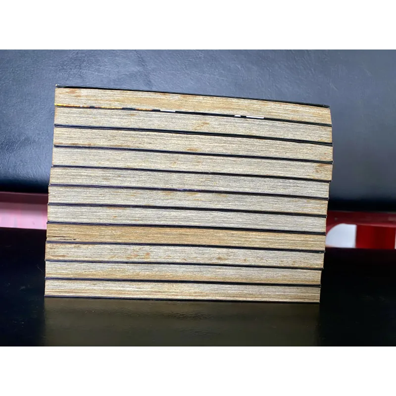 11 tập truyện tranh Area D.  789473