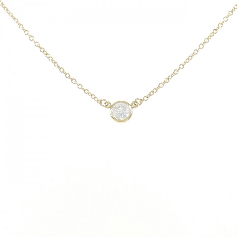 Dây chuyền Tiffany By The Yard - Hàng hiệu Authentic 845963