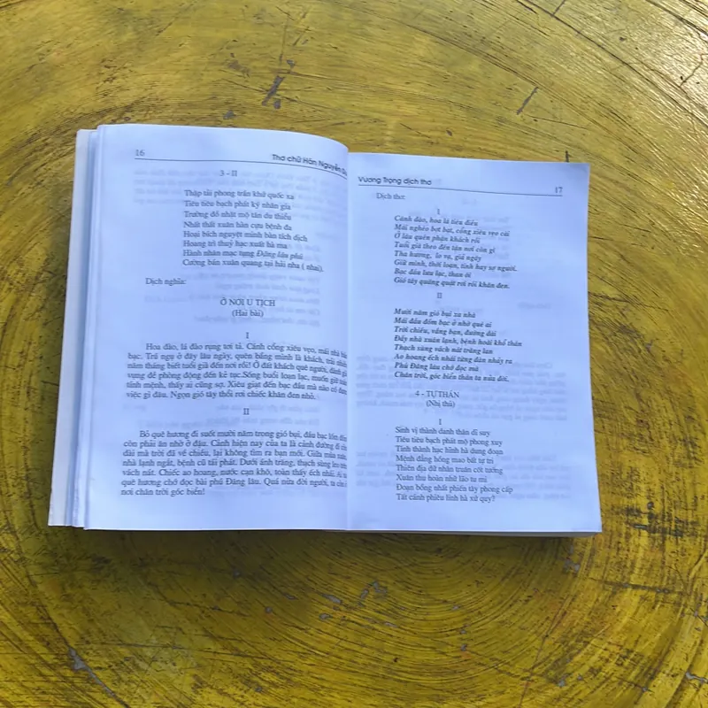 THƠ CHỮ HÁN NGUYỄN DU TOÀN TẬP- VƯƠNG TRỌNG DỊCH THƠ 609892