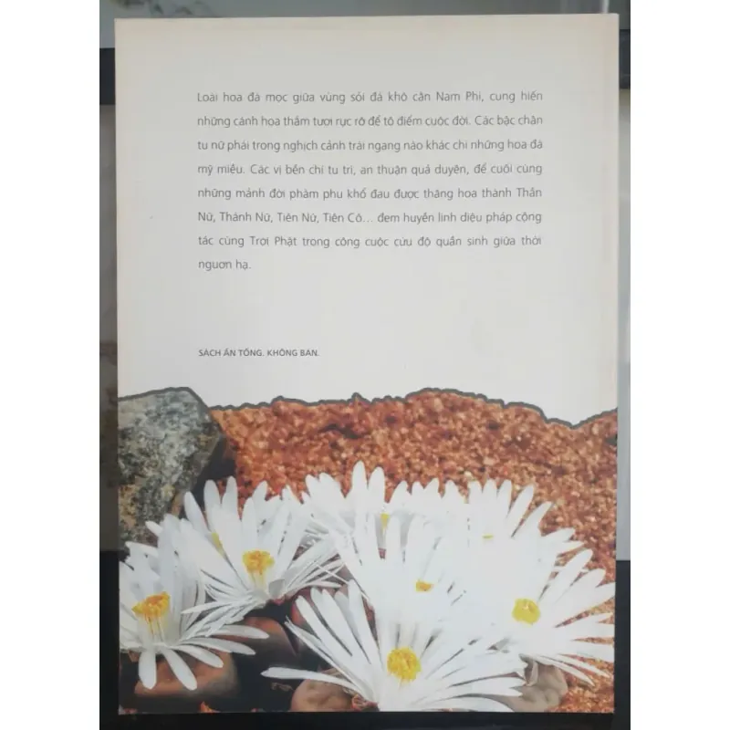 An Thuận Quả Duyên 747453