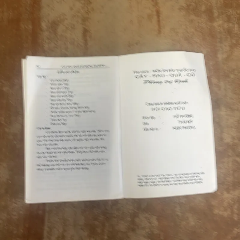 COMBO TỰ CHỮA BỆNH BẰNG CỎ CÂY HOA LÁ & MÓN ĂN BÀI THUỐC HAY CAY RAU QUẢ CỦ 1003317