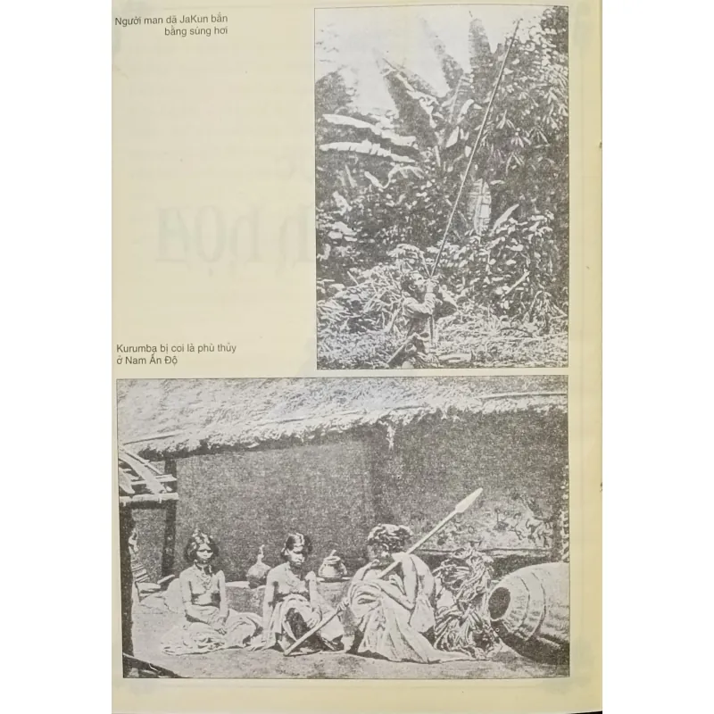 Văn hóa nguyên thủy (Tylor) 791103