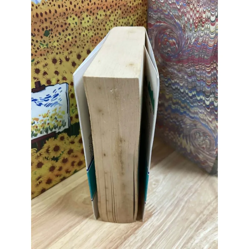 Biển Và Chim Bói Cá - Bùi Ngọc Tấn 1022217