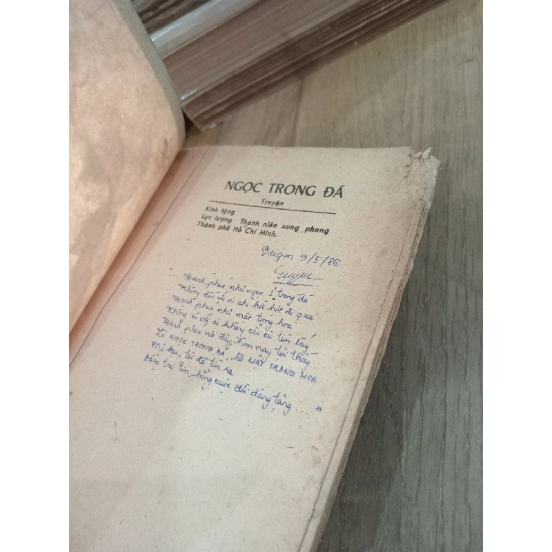Ngọc trong đá - Nguyễn Đông Thức 175224