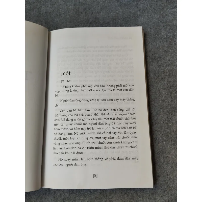 TIỂU THUYẾT ĐÀN BÀ - LÝ LAN 719940